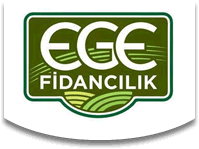 Ege Fidanclk