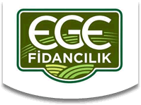 Arma�an Fidanc�l�k